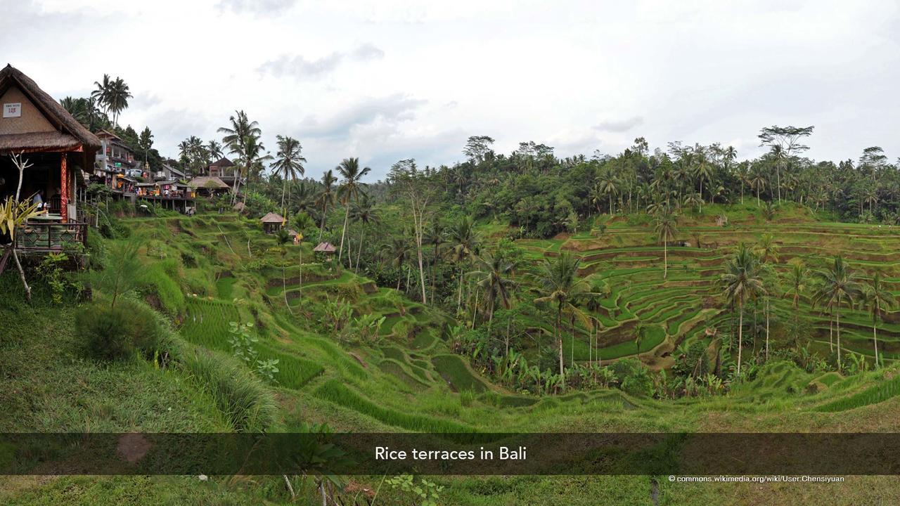 Zen Rooms Basic Kuta Kubu Anyar Exterior foto